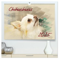 Chihuahuas 2025 (hochwertiger Premium Wandkalender 2025 DIN A2 quer), Kunstdruck in Hochglanz