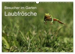 Besucher im Garten - Laubfrösche (Wandkalender 2025 DIN A3 quer), CALVENDO Monatskalender - Calvendo;Wilhelm, N.