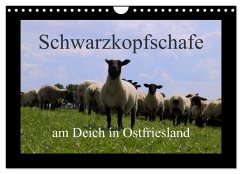 Schwarzkopfschafe am Deich in Ostfriesland (Wandkalender 2025 DIN A4 quer), CALVENDO Monatskalender