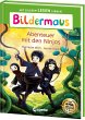 Bildermaus - Abenteuer mit den Ninjas - Bild 1