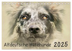 Altdeutsche Hütehunde 2025 (Tischkalender 2025 DIN A5 quer), CALVENDO Monatskalender - Calvendo;Redecker, Andrea