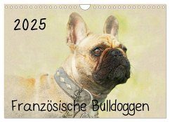 Französische Bulldoggen 2025 (Wandkalender 2025 DIN A4 quer), CALVENDO Monatskalender - Calvendo;Redecker, Andrea