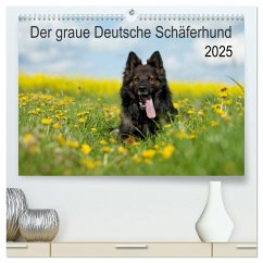 Der graue Deutsche Schäferhund (hochwertiger Premium Wandkalender 2025 DIN A2 quer), Kunstdruck in Hochglanz - Calvendo;Schiller, Petra