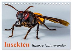 Insekten ¿ Bizarre Naturwunder (Tischkalender 2025 DIN A5 quer), CALVENDO Monatskalender - Calvendo;Stanzer, Elisabeth