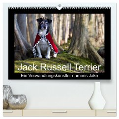Jack Russell Terrier.....Ein Verwandlungskünstler namens Jake (hochwertiger Premium Wandkalender 2025 DIN A2 quer), Kunstdruck in Hochglanz
