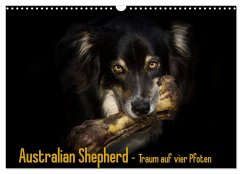 Australian Shepherd - Traum auf vier Pfoten (Wandkalender 2025 DIN A3 quer), CALVENDO Monatskalender - Calvendo;Mayer Tierfotografie, Andrea