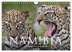 Namibia - Die Tierwelt (Wandkalender 2025 DIN A4 quer), CALVENDO Monatskalender