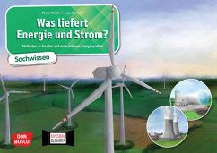 Was liefert Energie und Strom? Bildkarten zu fossilen und erneuerbaren Energiequellen. Kamishibai Bildkartenset - Haude, Beate