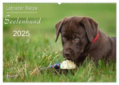 Labrador Welpe ¿ Seelenhund (Wandkalender 2025 DIN A2 quer), CALVENDO Monatskalender