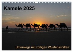 Kamele 2025 - Unterwegs mit zottigen Wüstenschiffen (Wandkalender 2025 DIN A3 quer), CALVENDO Monatskalender