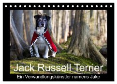 Jack Russell Terrier.....Ein Verwandlungskünstler namens Jake (Tischkalender 2025 DIN A5 quer), CALVENDO Monatskalender - Calvendo;Schröder, AWS S. + J. Schröder, Werbeagentur,, Susanne