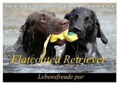 Flatcoated Retriever (Tischkalender 2025 DIN A5 quer), CALVENDO Monatskalender - Calvendo;Müller, Beatrice