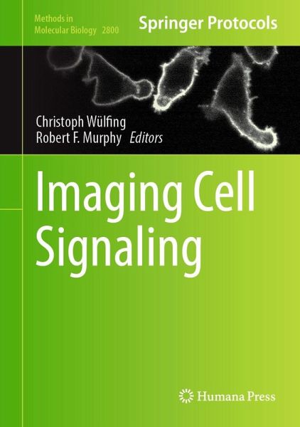 Imaging Cell Signaling (eBook, PDF) Imaging Cell Signaling (eBook, PDF)
