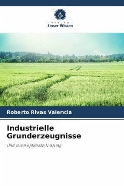 Industrielle Grunderzeugnisse - Rivas Valencia, Roberto