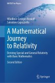 A Mathematical Journey to Relativity (eBook, PDF)
