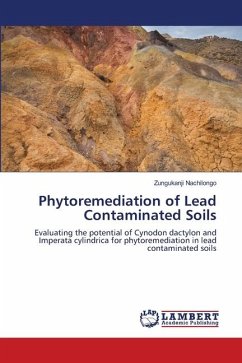 Phytoremediation of Lead Contaminated Soils