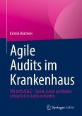 Agile Audits im Krankenhaus (eBook, PDF)