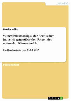 Vulnerabilitätsanalyse der heimischen Industrie gegenüber den Folgen des regionalen Klimawandels (eBook, PDF) - Höhn, Moritz