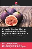 Pegada hídrica física, económica e social da figueira (ficus carica l.)