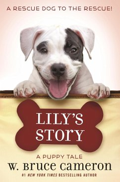 Lily's Story - Cameron, W Bruce