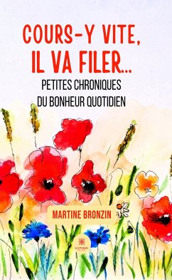 Cours-y vite, il va filer… (eBook, ePUB) - Bronzin, Martine