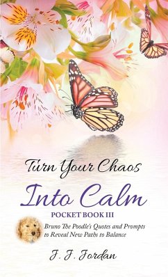 Turn Your Chaos Into Calm - Jordan, J. J.