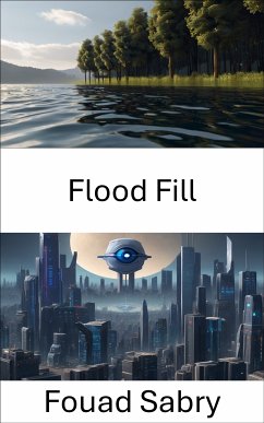 Flood Fill (eBook, ePUB) - Sabry, Fouad