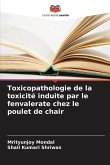 Toxicopathologie de la toxicité induite par le fenvalerate chez le poulet de chair