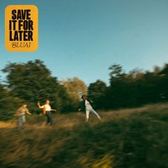 Save It For Later (Lp) - Bluai