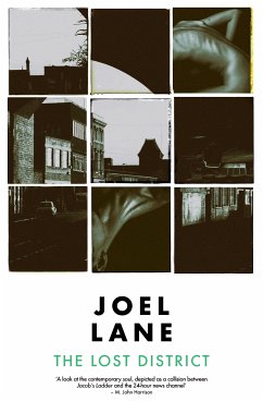 The Lost District (eBook, ePUB) - Lane, Joel