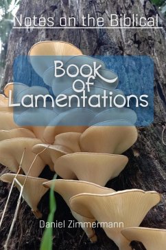 Notes on the Biblical Book of Lamentations (eBook, ePUB) - Zimmermann, Daniel
