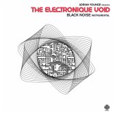 The Electronique Void: Black Noise Instrumentalls