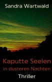 Kaputte Seelen in düsteren Nächten (eBook, ePUB)