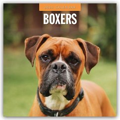 Boxers - Deutscher Boxer 2025 - 16-Monatskalender - Red Robin Publishing Ltd