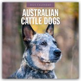 Australian Cattle Dogs - Australian Cattle Dog 2025 - 16-Monatskalender