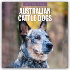 Australian Cattle Dogs - Australian Cattle Dog 2025 - 16-Monatskalender - Red Robin Publishing Ltd