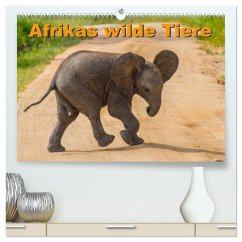 Afrikas wilde Tiere (hochwertiger Premium Wandkalender 2025 DIN A2 quer), Kunstdruck in Hochglanz - Struckmann /Fstwildlife, Frank