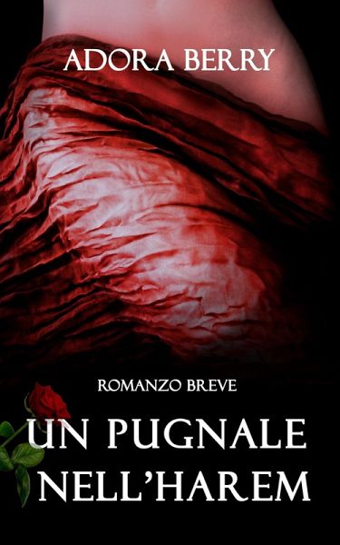Un pugnale nell'harem (eBook, ePUB) Un pugnale nell'harem (eBook, ePUB)
