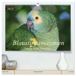 Blaustirnamazonen - Papageien in Paraguay (hochwertiger Premium Wandkalender 2025 DIN A2 quer), Kunstdruck in Hochglanz - Calvendo;Schneider, Bettina