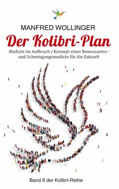 Der Kolibri-Plan 6 - Wollinger, Manfred