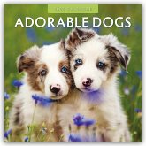 Adorable Dogs - Liebenswerte Hunde 2025 - 16-Monatskalender