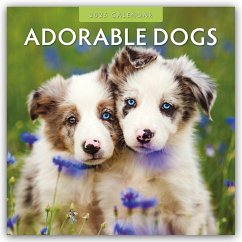 Adorable Dogs - Liebenswerte Hunde 2025 - 16-Monatskalender - Red Robin Publishing Ltd