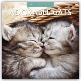 Adorable Cats - Liebenswerte Katzen 2025 - 16-Monatskalender