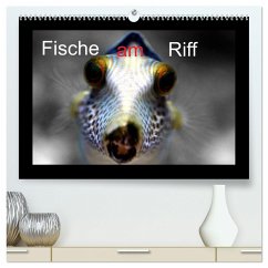 Fische am Riff (hochwertiger Premium Wandkalender 2025 DIN A2 quer), Kunstdruck in Hochglanz