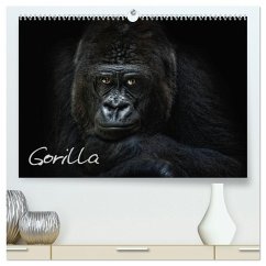 Gorilla (hochwertiger Premium Wandkalender 2025 DIN A2 quer), Kunstdruck in Hochglanz - Pinkawa Jo. PinX, Joachim