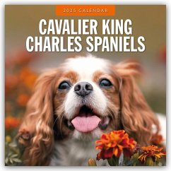 Cavalier King Charles Spaniels - Cavalier King Charles Spaniel 2025 - 16-Monatskalender - Red Robin Publishing Ltd