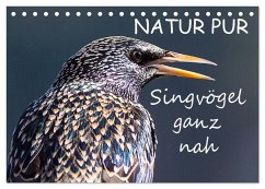 NATUR PUR - Singvögel ganz nah (Tischkalender 2025 DIN A5 quer), CALVENDO Monatskalender