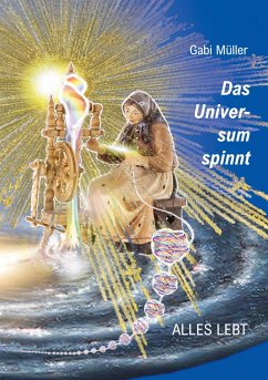 Das Universum spinnt - Müller, Gabi
