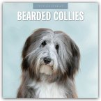 Bearded Collies - Bearded Collie 2025 - 16-Monatskalender