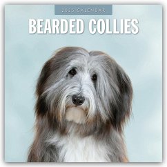 Bearded Collies - Bearded Collie 2025 - 16-Monatskalender - Red Robin Publishing Ltd